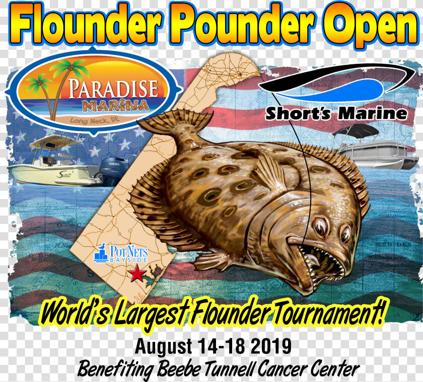 Flounder Pounder Open   Paradise Grill Flounder Pounder 2019  HD Png DownloadTransparent PNG