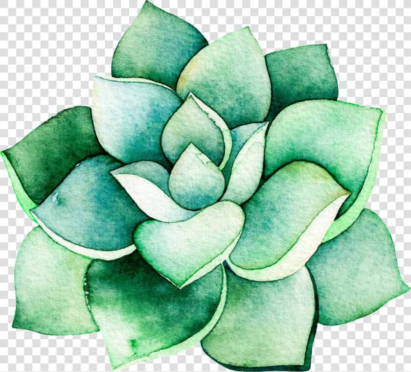 Watercolor Stereo Succulent Cartoon Transparent   Watercolor Succulent Transparent Background  HD Png DownloadTransparent PNG