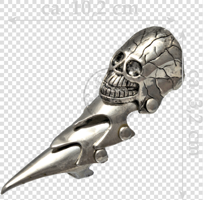 Armor Ring   Joint Ring   Parrot  HD Png DownloadTransparent PNG