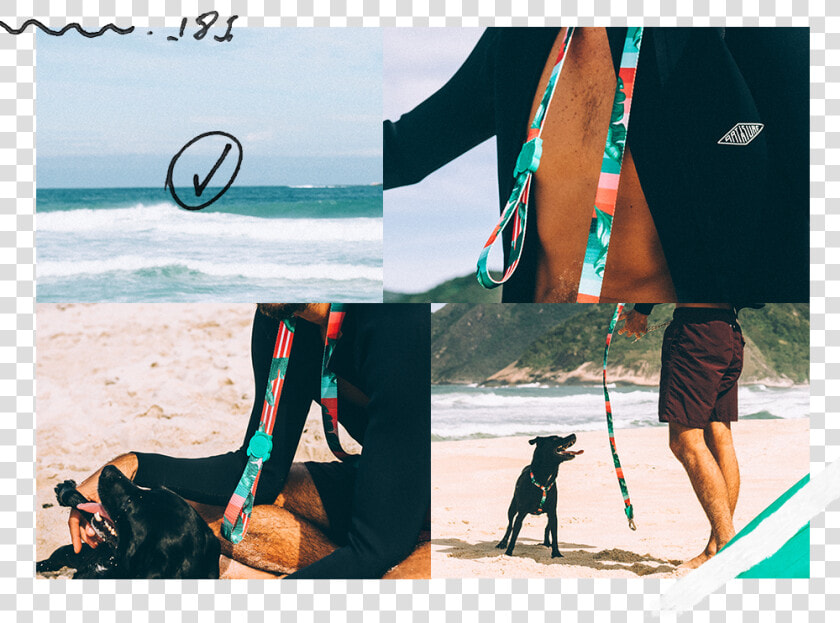 Shock Absorbent Dog Leash Bali   Guia Bali Zeedog  HD Png DownloadTransparent PNG