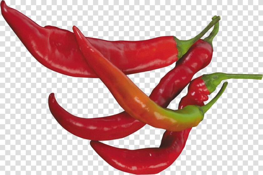 Red Chilli Pepper   Chili Peppers Transparent Background  HD Png DownloadTransparent PNG