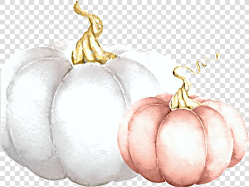  watercolor  pumpkins  white  pink  fall  autumn  harvest   Pumpkin  HD Png DownloadTransparent PNG