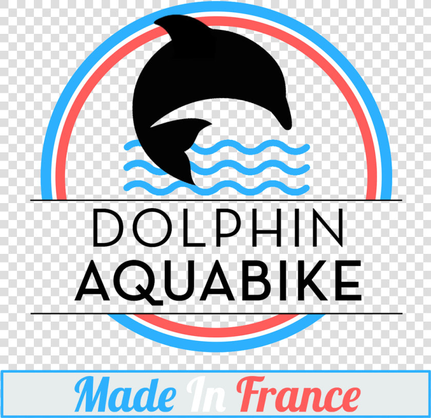 Wholphin  HD Png DownloadTransparent PNG