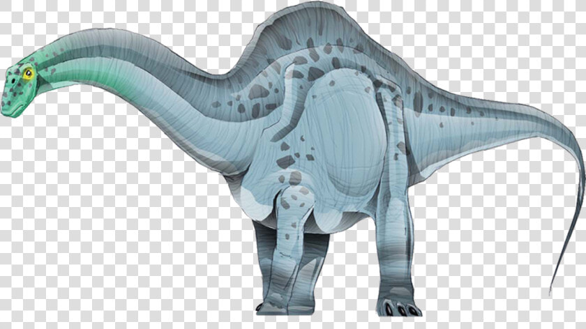 Apatosaurus  HD Png DownloadTransparent PNG