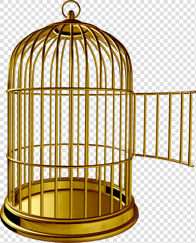 Golden Bird Cage Png Image   Golden Bird Cage Png  Transparent PngTransparent PNG