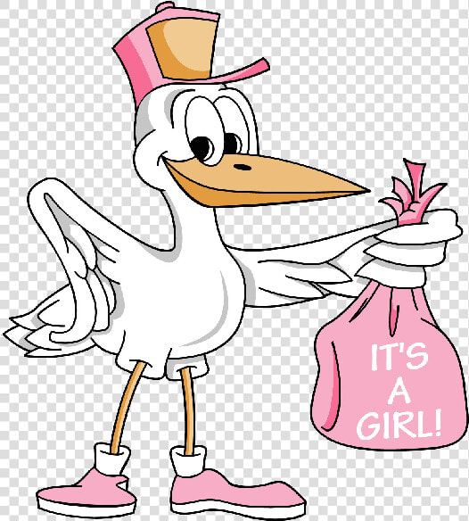 Carrying Girl Cute Clip   Its A Girl Bird  HD Png DownloadTransparent PNG