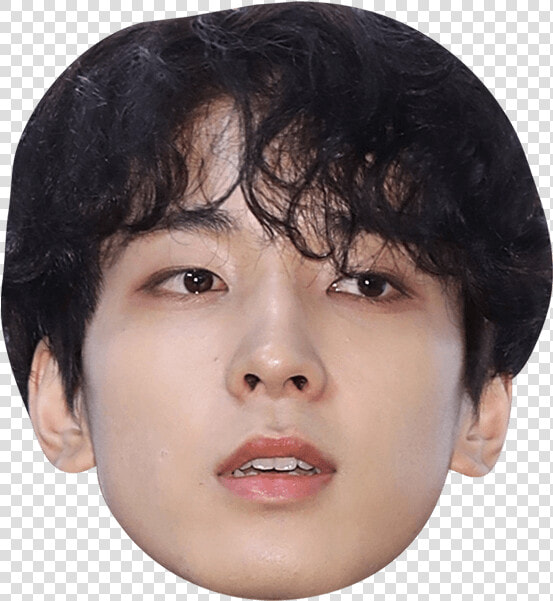 Finn Wolfhard Face Png  Transparent PngTransparent PNG