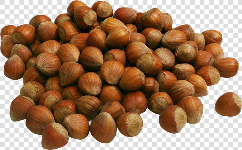 Hazelnut Png  Transparent PngTransparent PNG