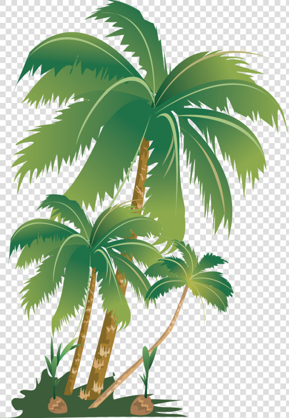  tropical  summer  palm  tree  palmera  summerfun  sticker   Palm Trees  HD Png DownloadTransparent PNG