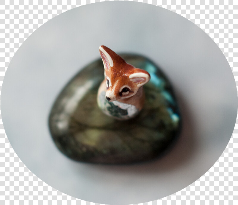 Abyssinian  HD Png DownloadTransparent PNG