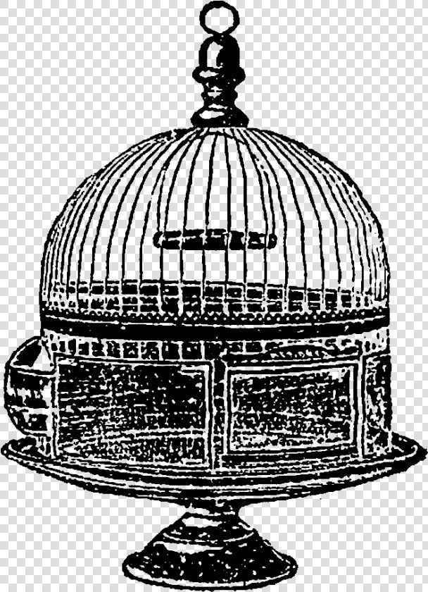 Any Of These Bird Cage Images Would Make For Wonderful   Dome  HD Png DownloadTransparent PNG