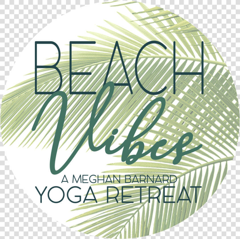 Beach Vibes Logo  HD Png DownloadTransparent PNG