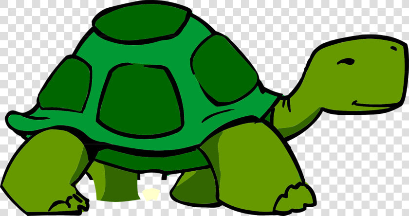 Slow Turtle Clipart  HD Png DownloadTransparent PNG