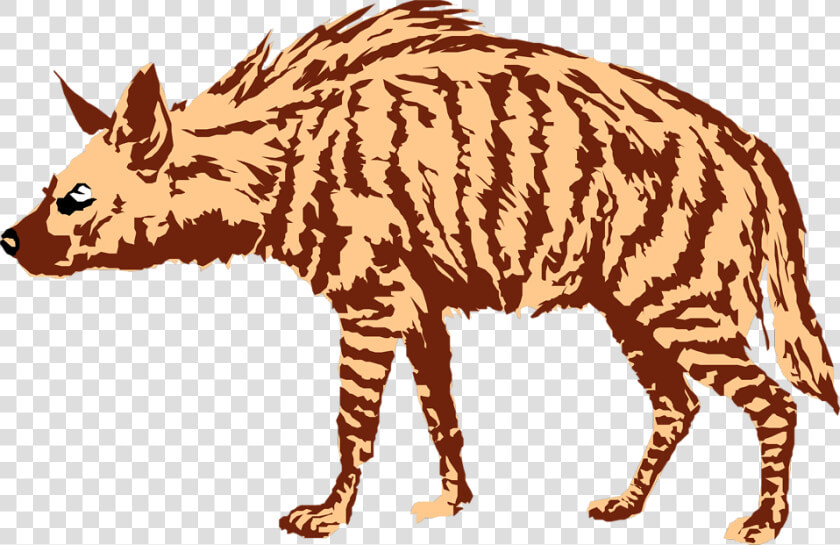 Hyena Art Png Free Pic   Boar  Transparent PngTransparent PNG