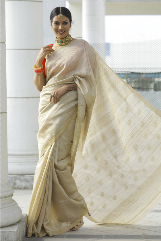 Sari  HD Png DownloadTransparent PNG