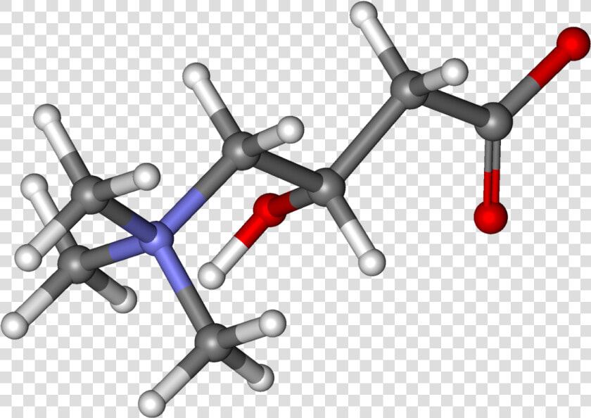 Carnitine Ball And Stick   L Carnitine Molecular Structure  HD Png DownloadTransparent PNG