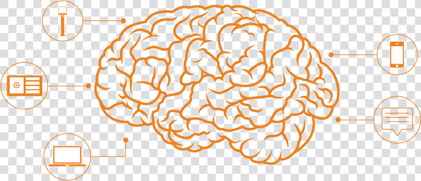 Human Brain Processes Images 60 000 Times Faster Than  HD Png DownloadTransparent PNG