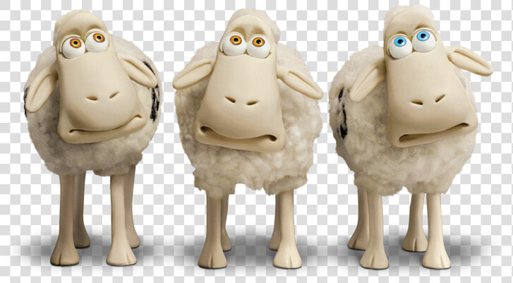 Transparent Serta Sheep  HD Png DownloadTransparent PNG