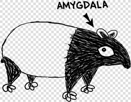 Amygdalatapir   New World Porcupine  HD Png DownloadTransparent PNG