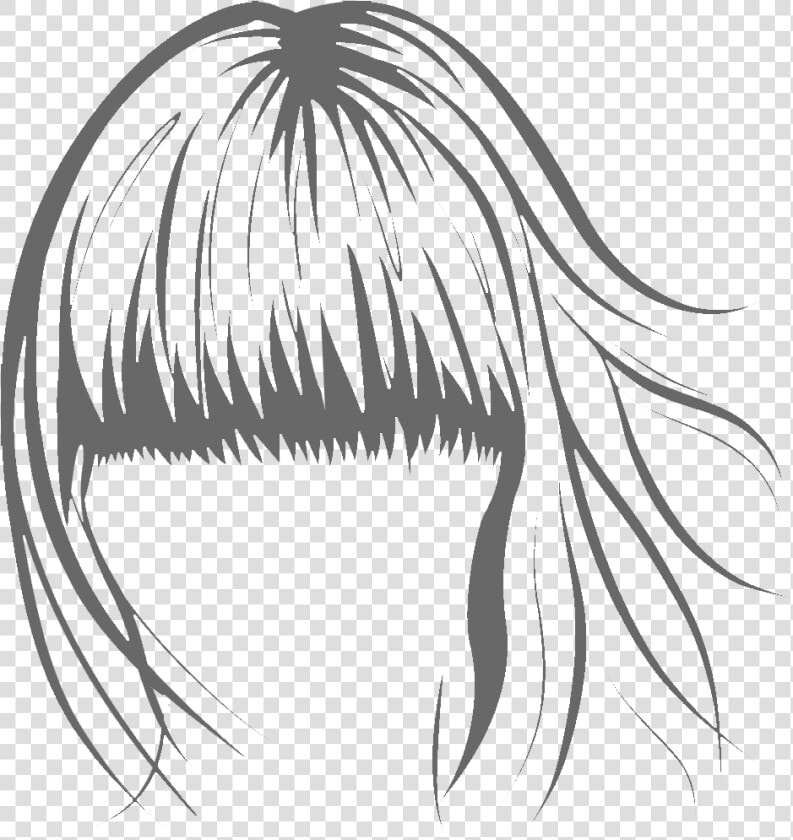 Transparent Bangs Png   Hair Vector  Png DownloadTransparent PNG