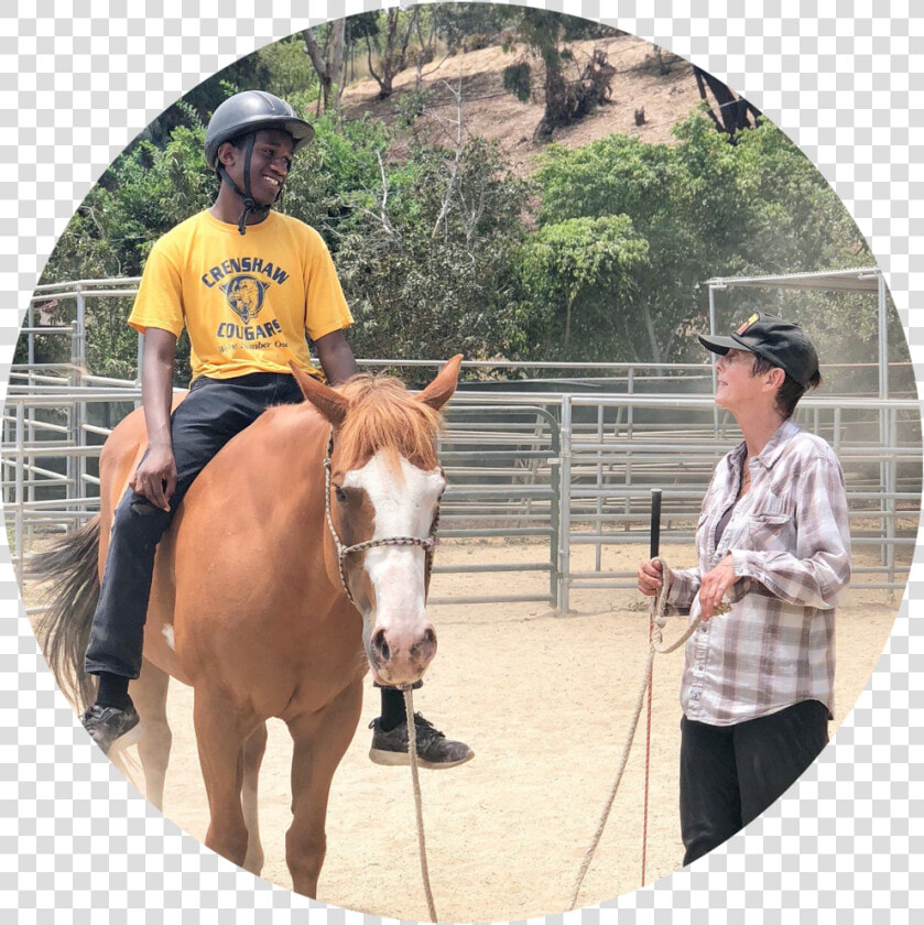 Horse Ride   Sorrel  HD Png DownloadTransparent PNG