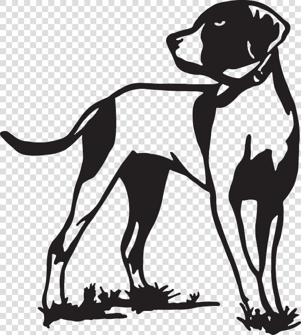 English Setter Pointer Hunting Dog Bird Dog   Bird Dog Drawing  HD Png DownloadTransparent PNG