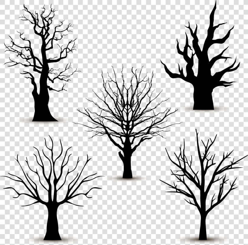 Tree Silhouette Euclidean Vector   Leafless Tree Vector  HD Png DownloadTransparent PNG