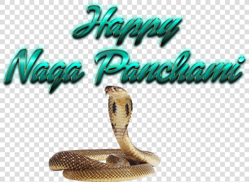 Naga Panchami Transparent Png   Png Nagula Chavithi Items  Png DownloadTransparent PNG