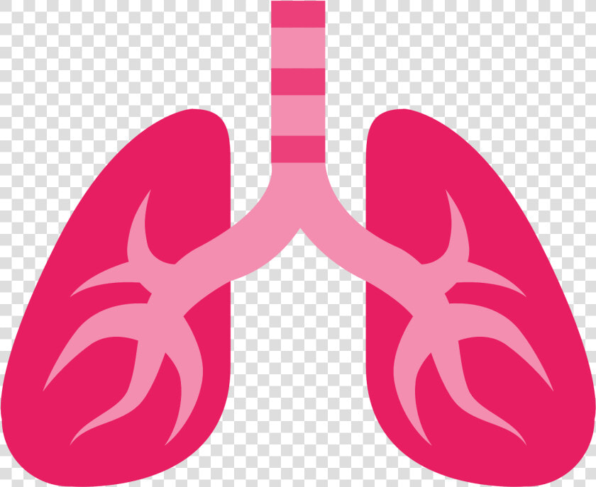 Lung Png   Lungs Emoji Png  Transparent PngTransparent PNG