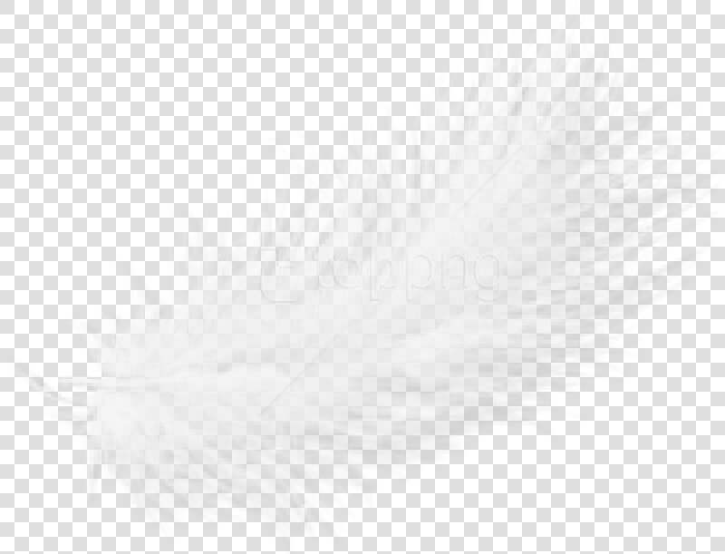 Free Png Feather Png Images Transparent   White Feathers Png Free  Png DownloadTransparent PNG