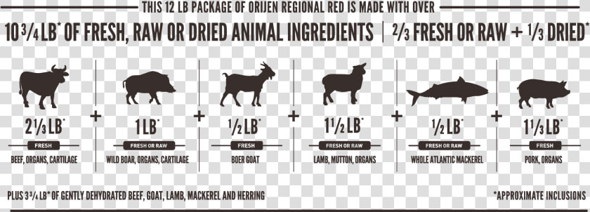 Orijen Regional Red Meatmath Formula And Cat Food Ingredients   Orijen Original Dog Food Ingredients  HD Png DownloadTransparent PNG