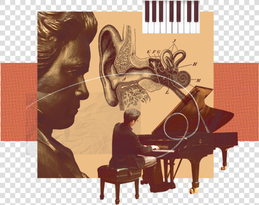 Fortepiano  HD Png DownloadTransparent PNG