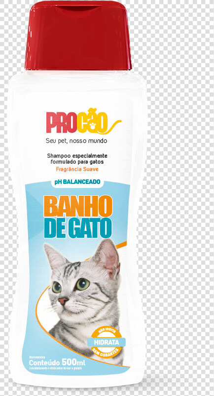 Gatos Png  Transparent PngTransparent PNG