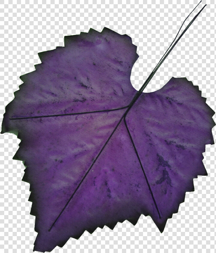 Hand painted Leaf Png Transparent   Purple Autumn Leaves Png  Png DownloadTransparent PNG