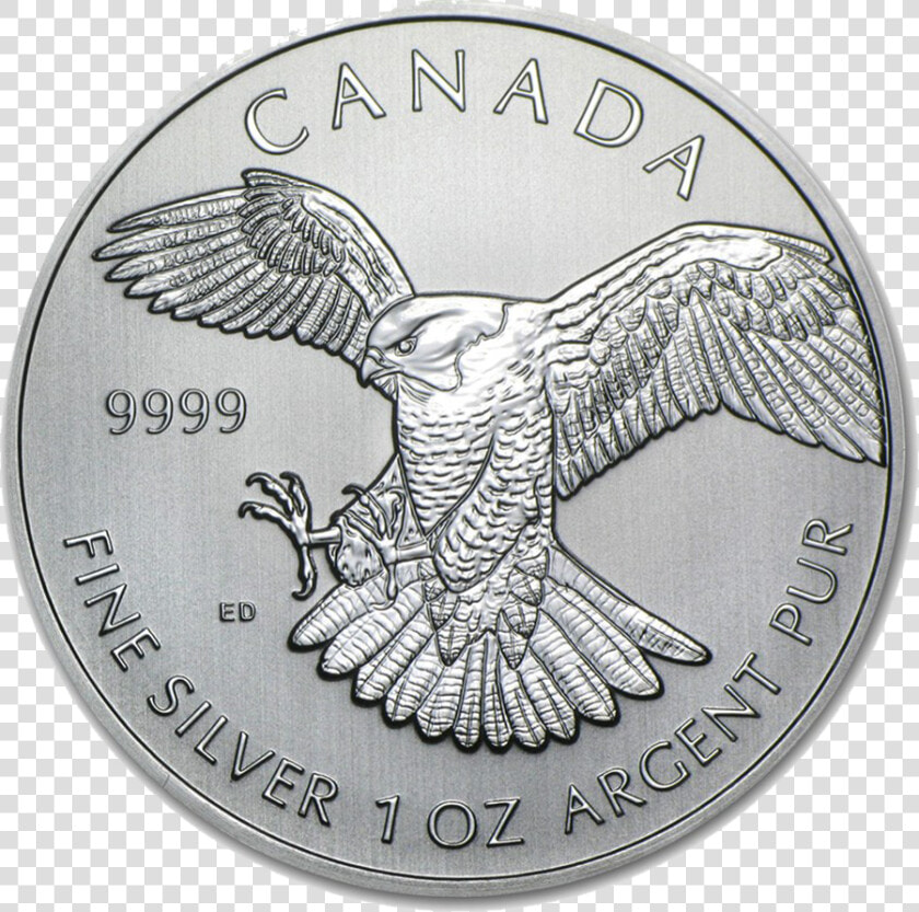 Canada Bird Of Prey Series  HD Png DownloadTransparent PNG