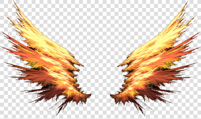  asas  wings  fire  fogo  devil  diabo  angel  anjo   Fire Wings Png  Transparent PngTransparent PNG