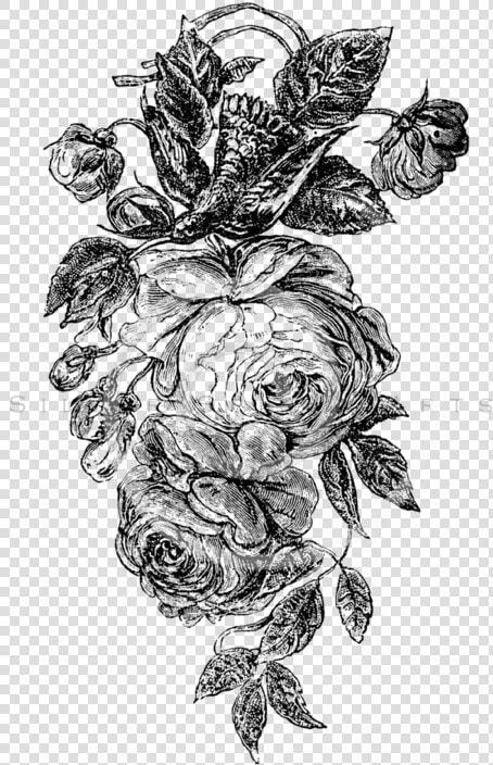 Vintage Flower Png Black And White   Roses Black And White Png  Transparent PngTransparent PNG