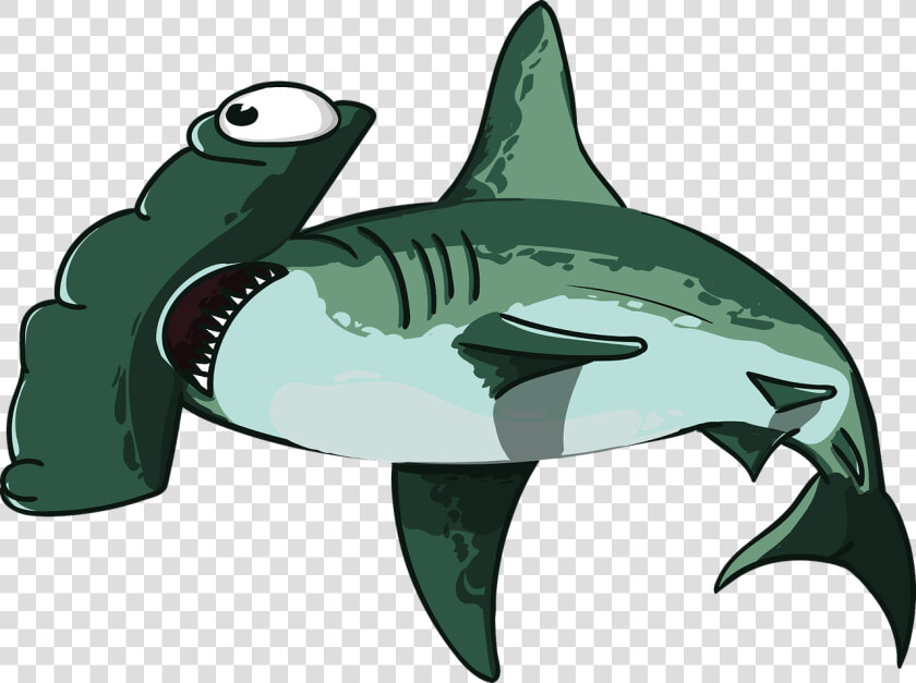 Shark  Fish  Hammer  Predator  Teeth  Mouth  Sea   Shark Head Transparent  HD Png DownloadTransparent PNG