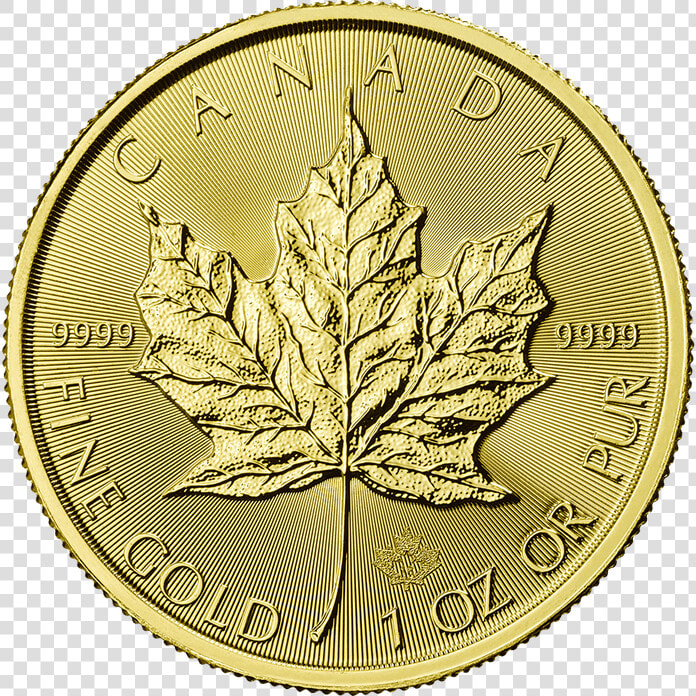 Canadian Maple Leaf 2018 1 Oz Gold Coin Src Https   Canadian Gold Maple Leaf  HD Png DownloadTransparent PNG