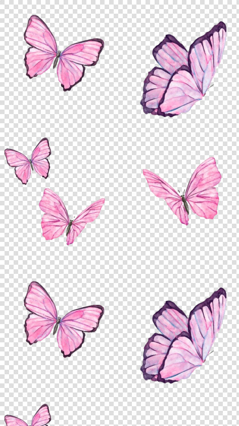  ftestickers  butterflies  pink  nature  png  cute   Papel De Parede Com Borboletas Png  Transparent PngTransparent PNG