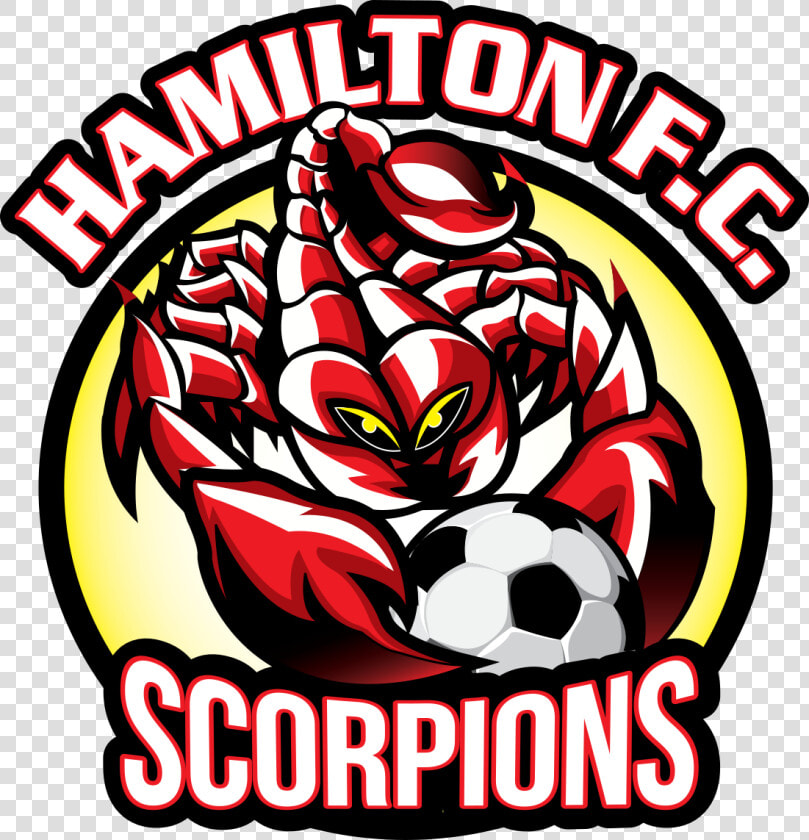 Hamilton Scorpions  HD Png DownloadTransparent PNG