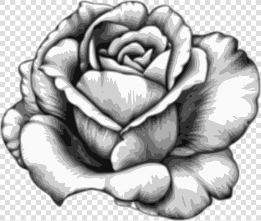 Drawing Flower Watercolor Black White   Flowers Black And White Drawing  HD Png DownloadTransparent PNG