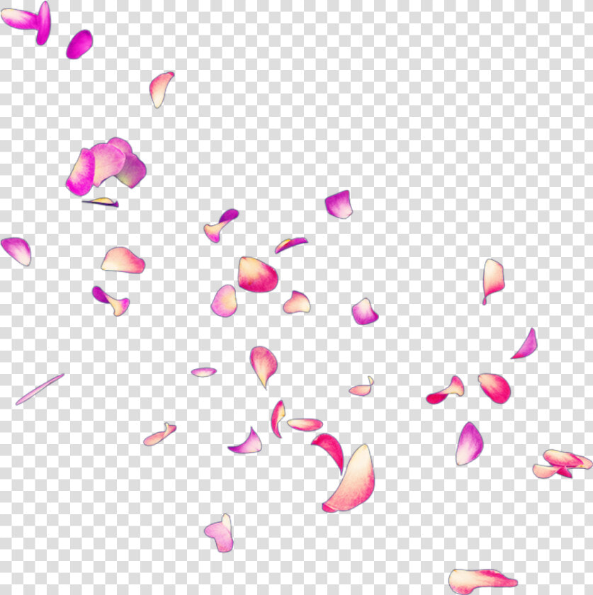  petals  petalos  pétalos  pétalo  petalo  petal  rose   Petalos De Rosas Rosas Png  Transparent PngTransparent PNG