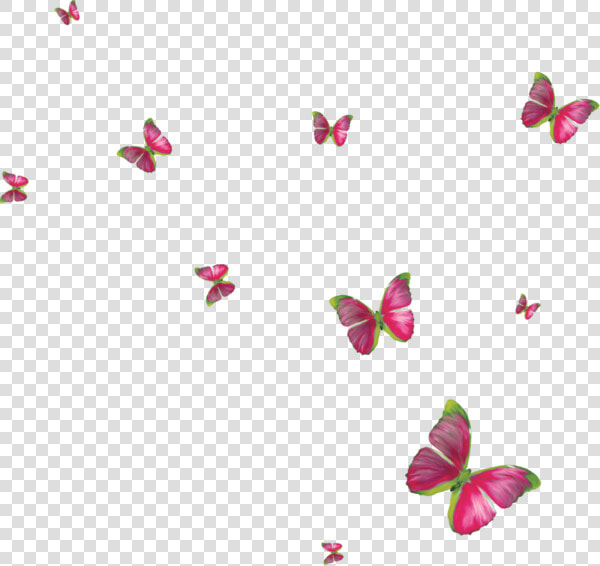 Clipart Butterflies Butterfly Clip Art  Butterflies    Blue Butterfly Frame Free  HD Png DownloadTransparent PNG