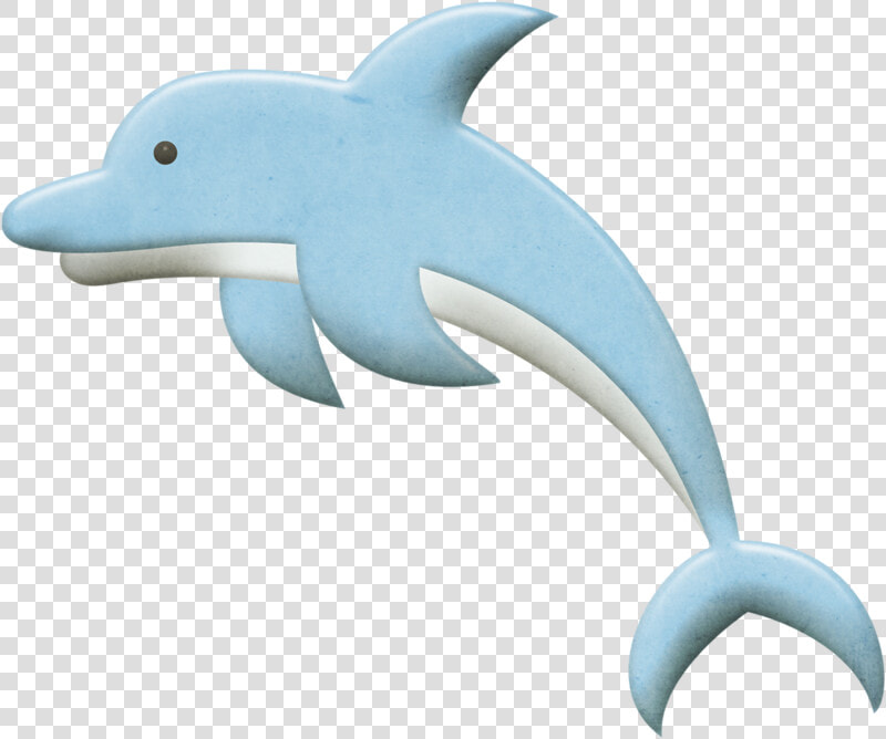 Ocean Clip Art Png   Common Bottlenose Dolphin  Transparent PngTransparent PNG