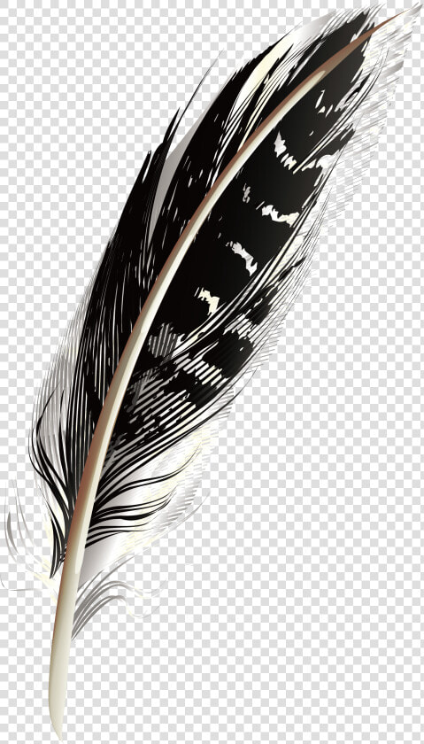 A Black Pattern Feathers Png Download   Black Feather Png  Transparent PngTransparent PNG