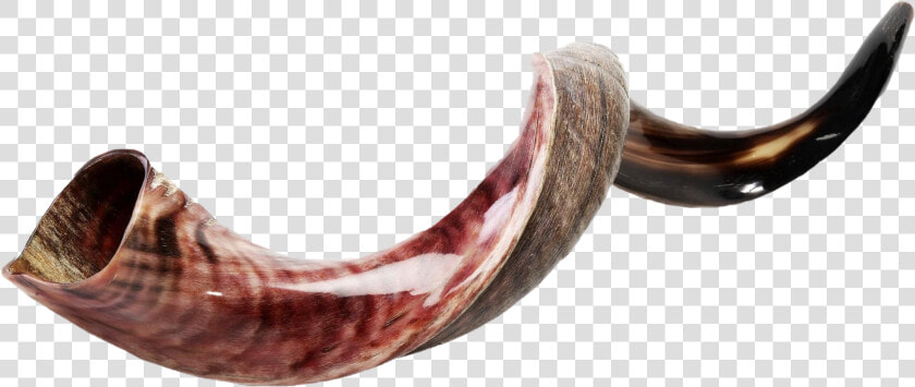 Shofar Png Photos   Shofar Imagenes  Transparent PngTransparent PNG