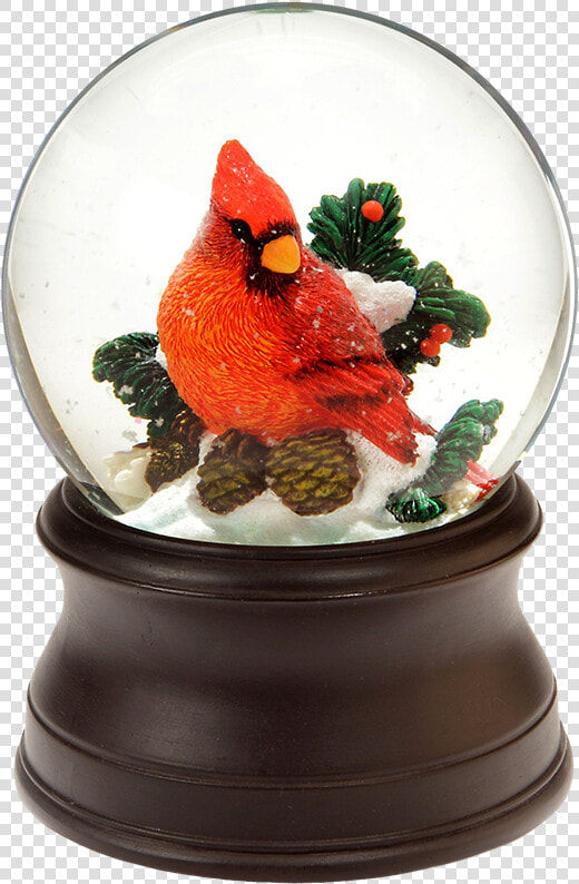 Cardinal Snow Globe Class   Snow Globe  HD Png DownloadTransparent PNG