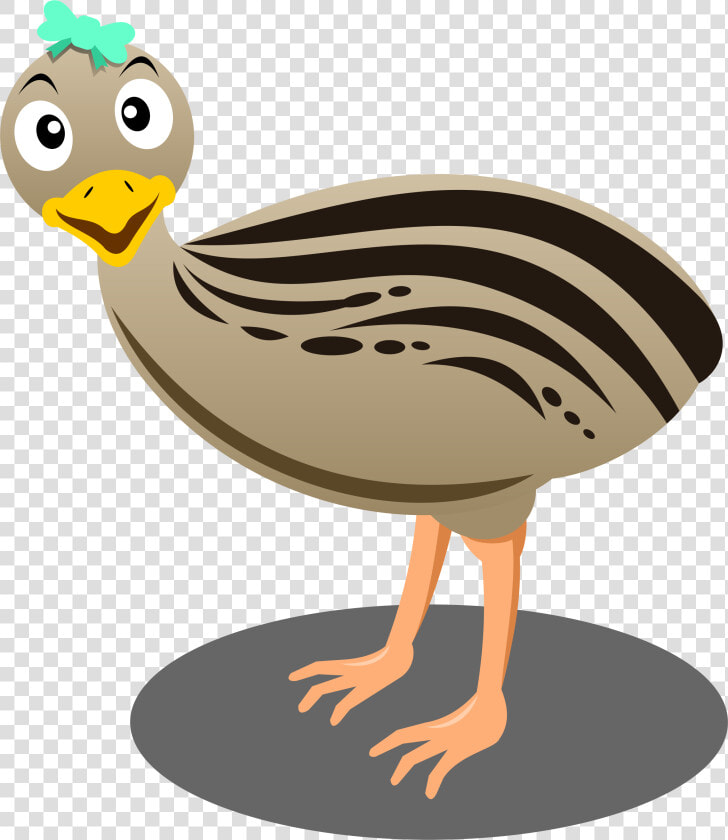 Ostrich Clipart Cartoon   Emu Cartoon Transparent  HD Png DownloadTransparent PNG