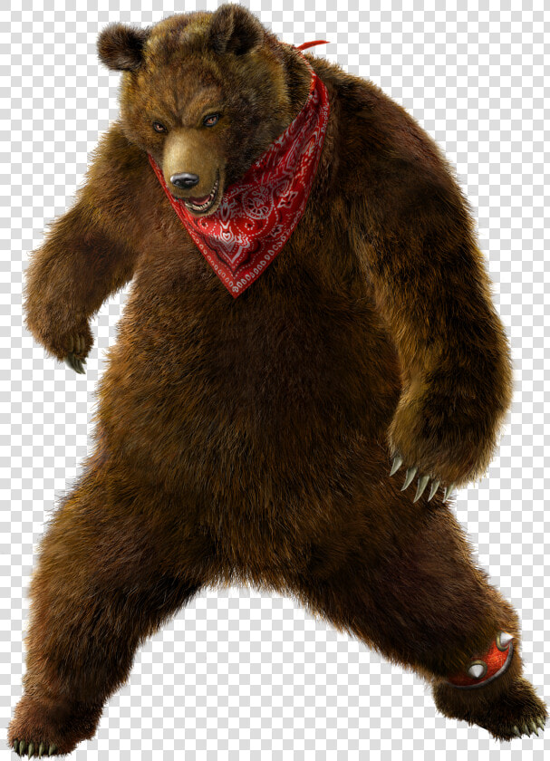 Tekken Tag Tournament 2 Kuma  HD Png DownloadTransparent PNG